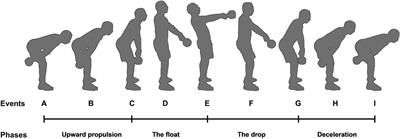 Assessment of trunk and shoulder muscle asymmetries during two-armed kettlebell swings: implications for training optimization and injury prevention